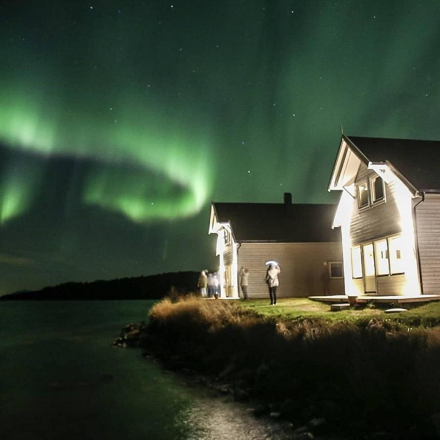 Senja Arctic Lodge Stonglandseidet Exterior photo